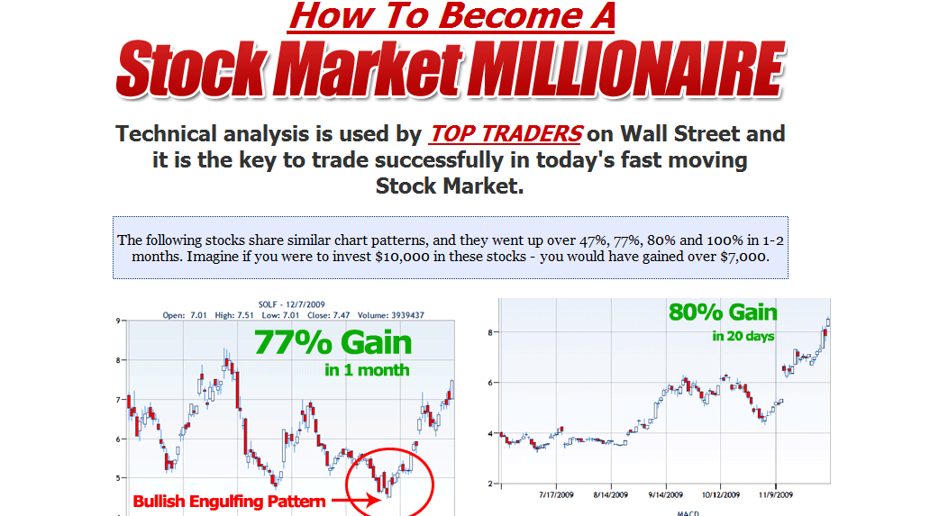 Stock Market Winners